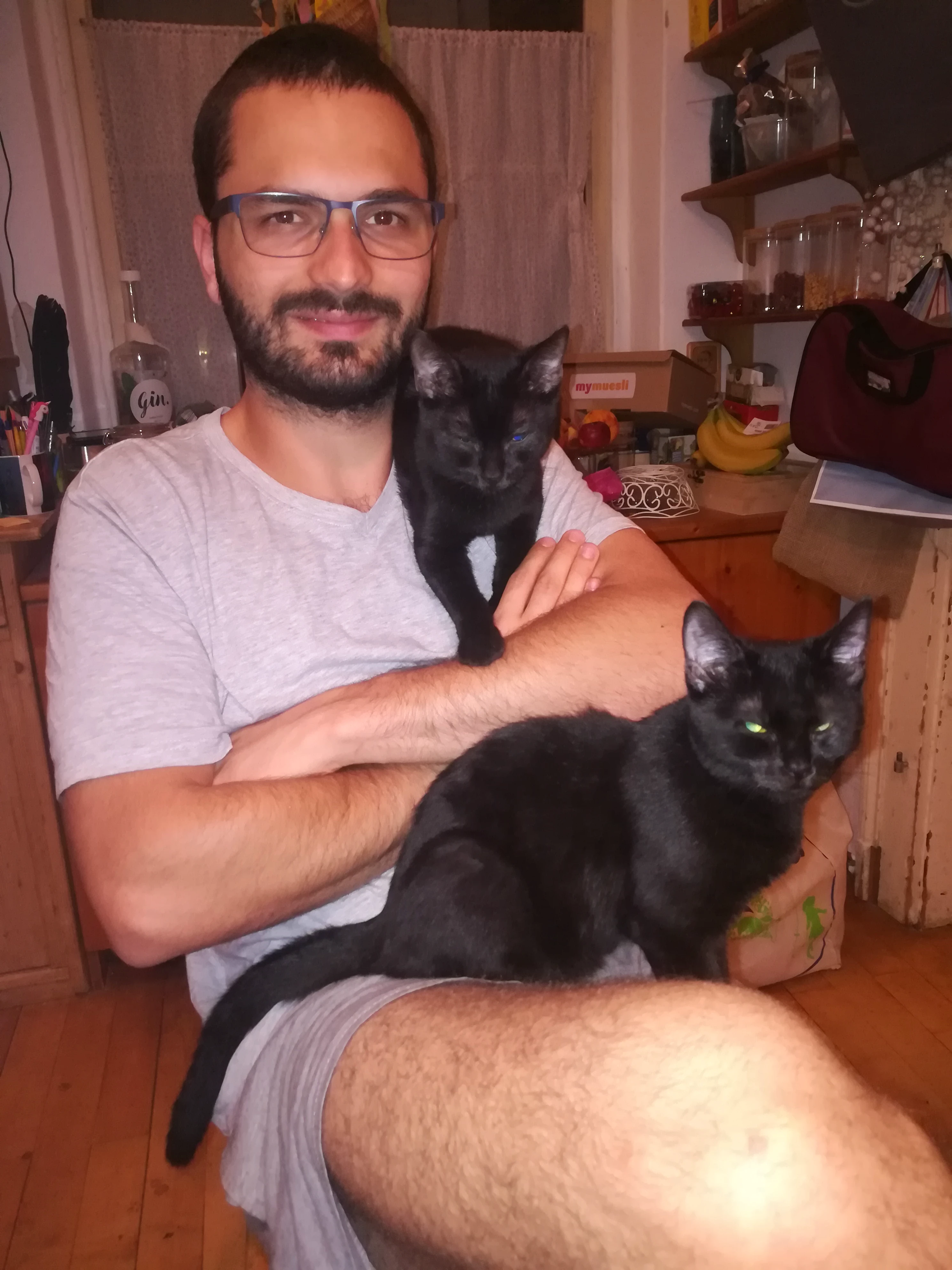 Daniel in seiner Pracht