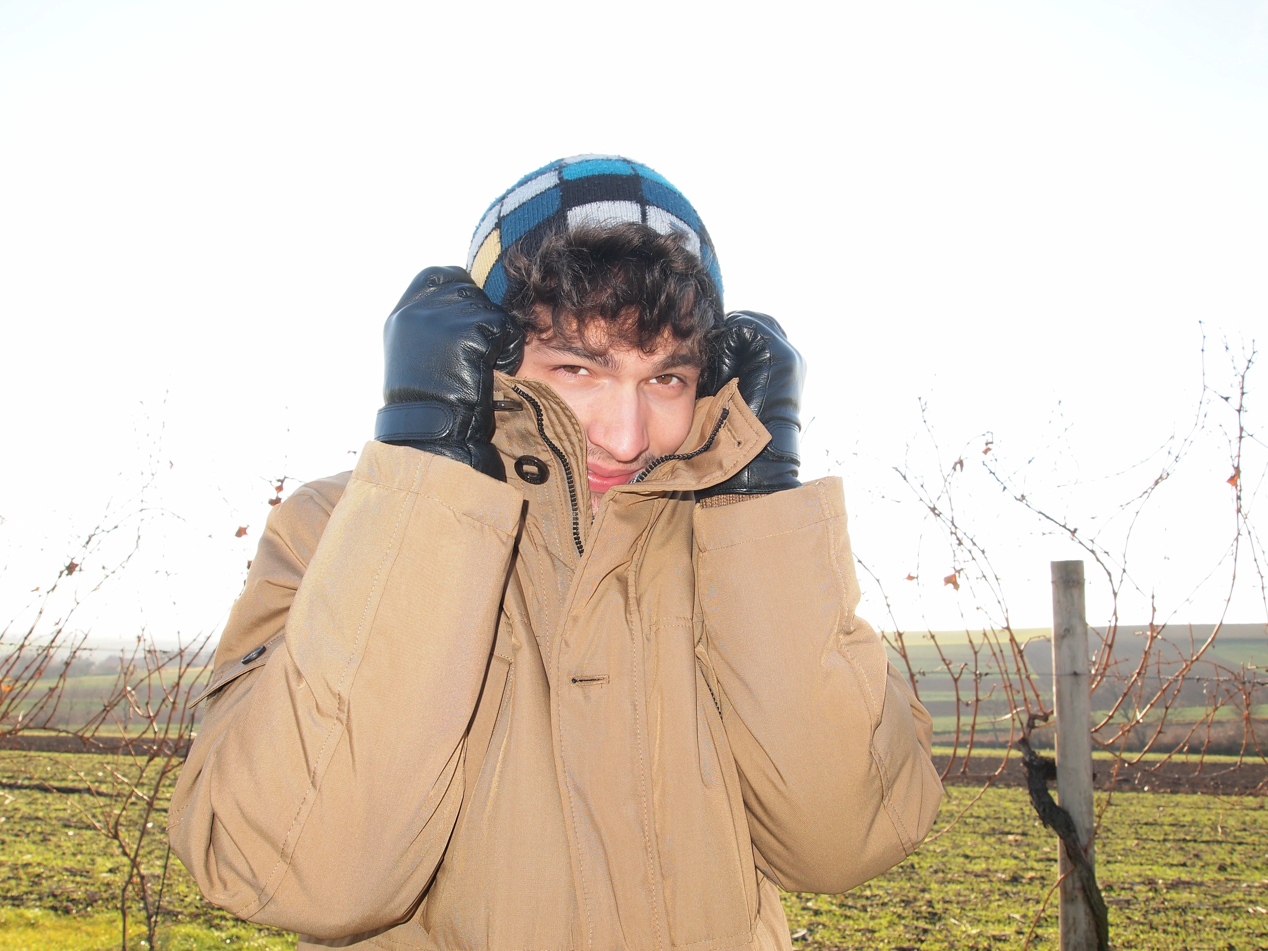 Digitales Meisterwerk